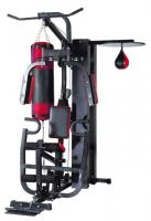 Многофункциональный тренажер DFC D3001C1