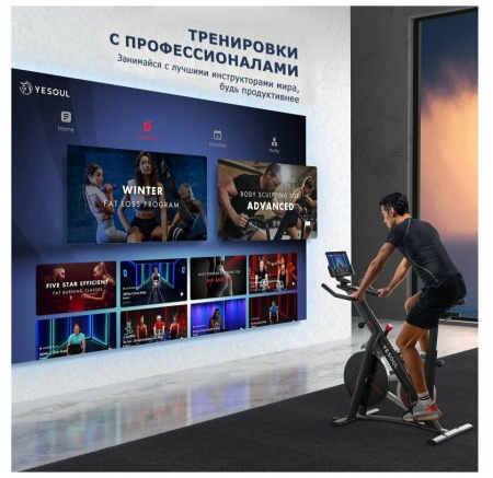 Велотренажер DFC Yesoul BS3-B-21.5 черный