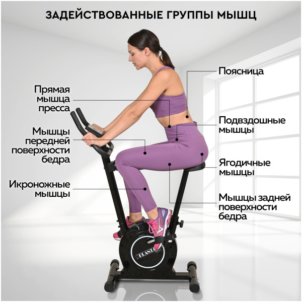 Велотренажер для дома магнитный PLANTA FD-BIKE-100