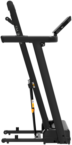 Беговая дорожка FAMILY TM 302M