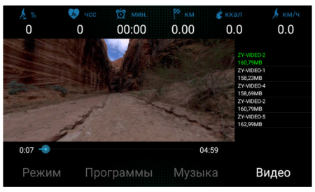 Беговая дорожка AMMITY Valentina VTM 5120 TFT