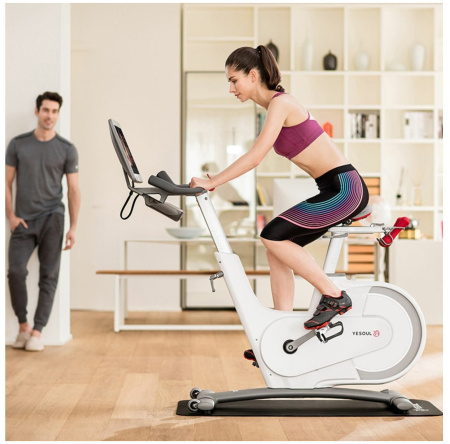 Велотренажер YESOUL BV1-W PLUS (белый)