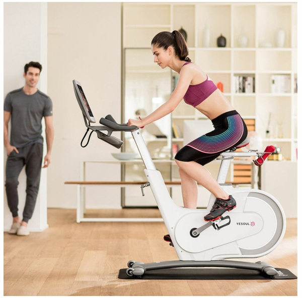 Велотренажер YESOUL BV1-W PLUS (белый)
