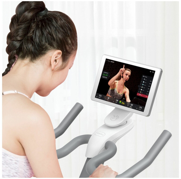 Велотренажер YESOUL BS3-W PRO (белый)