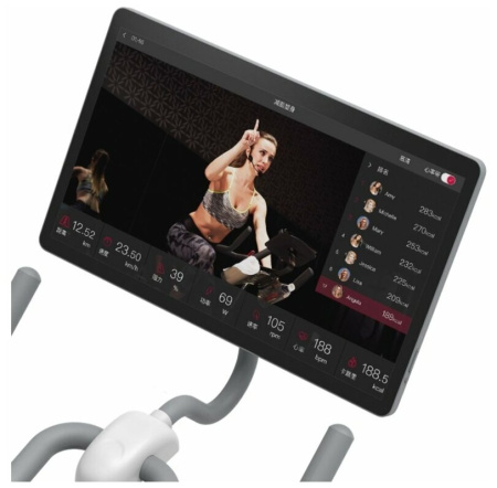 Велотренажер DFC Yesoul BS3-W-21.5 белый