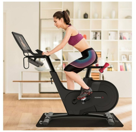 Велотренажер DFC Yesoul BV1-B-21.5 черный