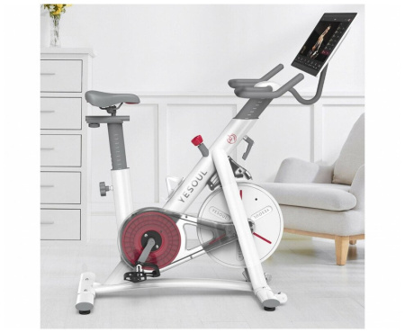Велотренажер DFC Yesoul BS3-W-21.5 белый