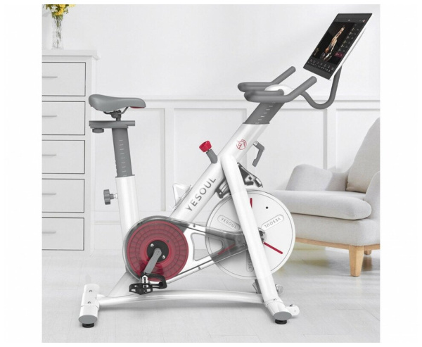 Велотренажер DFC Yesoul BS3-W-21.5 белый