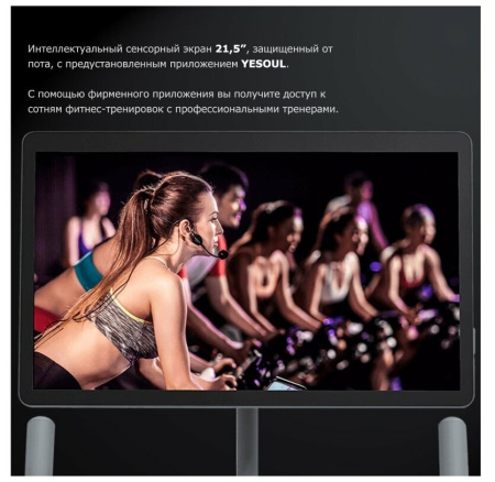 Велотренажер DFC Yesoul BS3-B-21.5 черный