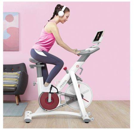 Велотренажер YESOUL BS3-W (белый)