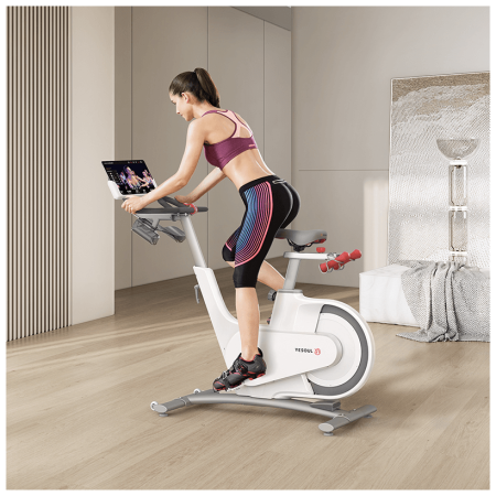 Вертикальный велотренажер YESOUL Smart Spinning bike V1