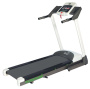 Электрическая беговая дорожка Tunturi Go Run 10