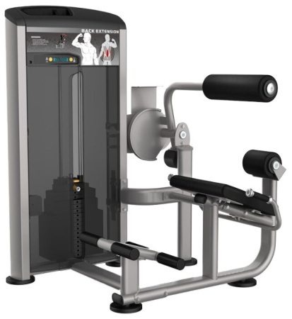 Тренажер со встроенными весами AeroFit Impulse Elite IE9532