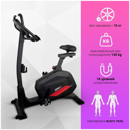 Велотренажер вертикальный EVERYFIT BX7P