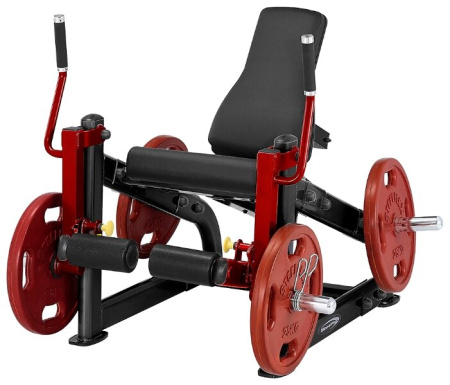 Тренажер со свободными весами AeroFit Plate Load PLLE