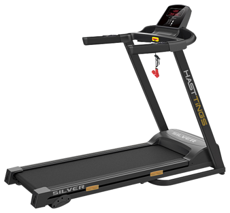 Беговая дорожка Hasttings Silver