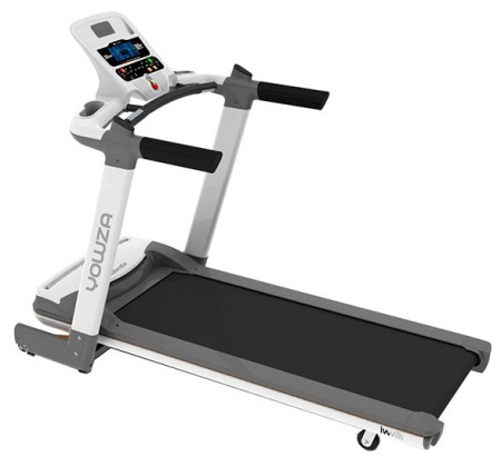 Электрическая беговая дорожка Eurofit Atlanta IWM