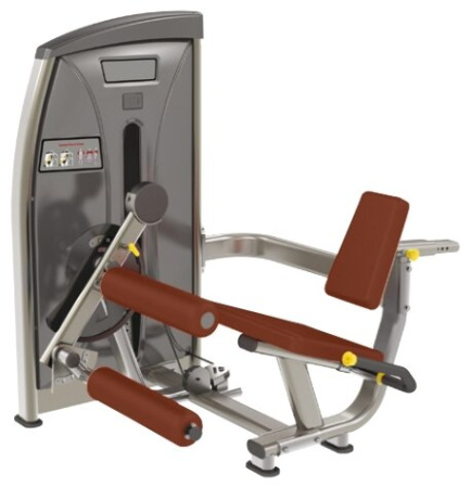 Тренажер со встроенными весами Bronze Gym E-013