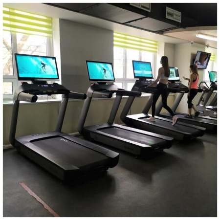 Профессиональная беговая дорожка SHUA SH-T9100T