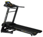 Электрическая беговая дорожка Diamond Fitness Speed 6000