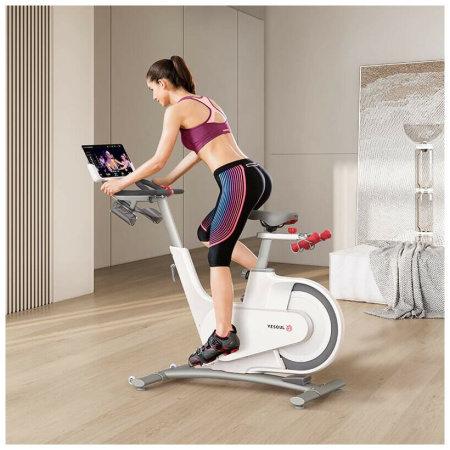 Вертикальный велотренажер YESOUL Smart Spinning bike V1