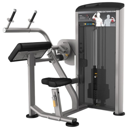 Тренажер со встроенными весами AeroFit Impulse Elite IE9523