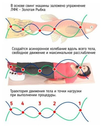 Тренажер свинг-машина Belberg SM-01