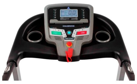 Электрическая беговая дорожка DFC Walker Evo T-S1