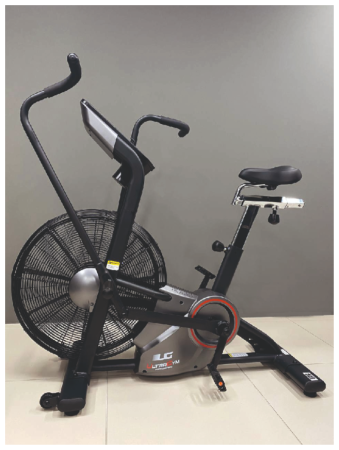 Аэробайк UltraGym UG-AB006