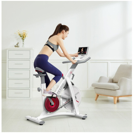 Велотренажер YESOUL BS3-W PRO (белый)