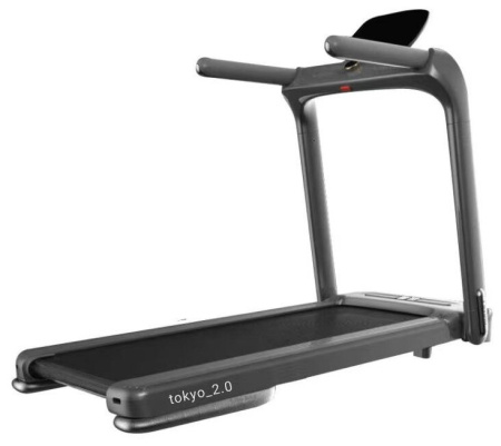 Беговая дорожка Furendo Tokyo 2.0 TOFFE