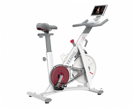 Спин-байк DFC Yesoul BS3-W-10.1 белый