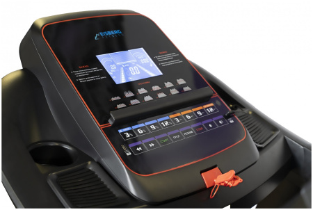 Беговая дорожка Eisberg Fitness Titanik