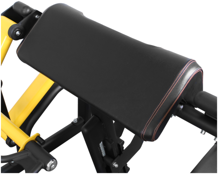 Бицепс Bronze Gym PL-1713