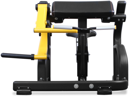 Бицепс Bronze Gym PL-1713