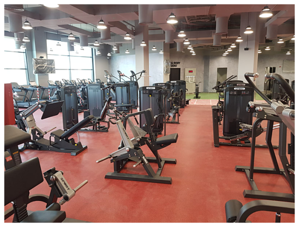 Гребная тяга с упором в грудь SPIRIT SP-4502