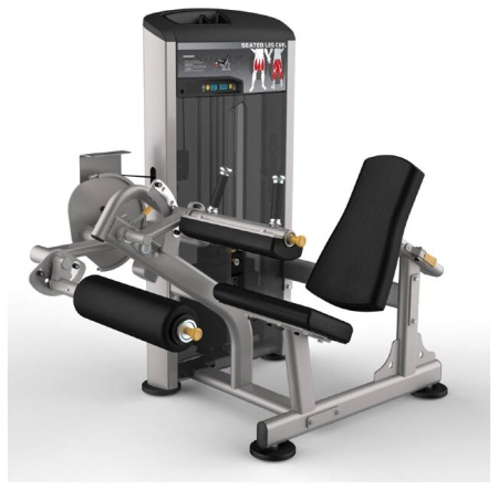 Тренажер со встроенными весами AeroFit Impulse Elite IE9506