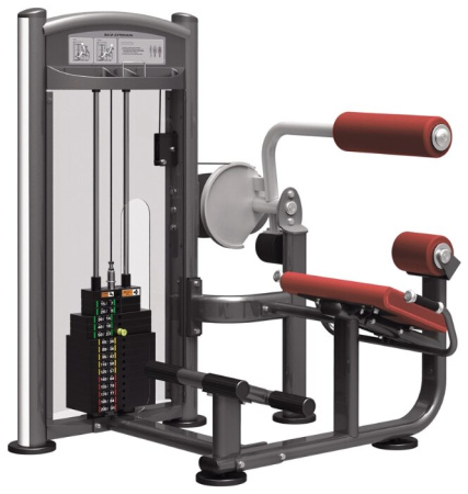 Тренажер со встроенными весами AeroFit IT9332