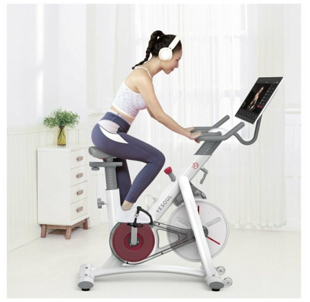 Велотренажер DFC Yesoul BS3-W-21.5 белый