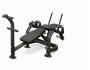Пресс-скамья Bronze Gym PL-1720