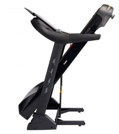 Беговая дорожка DFC Santana Pro T757