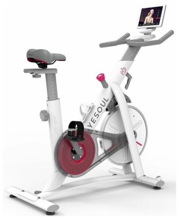 Вертикальный велотренажер YESOUL Smart Spinning bike S3 Pro