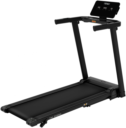 Беговая дорожка FAMILY TM 302M