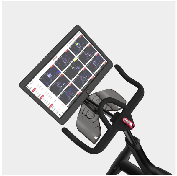 Велотренажер YESOUL BV1-B PLUS (черный)