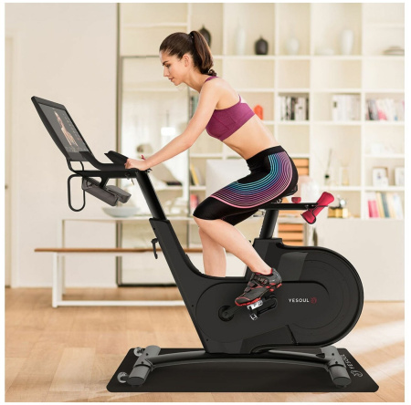 Велотренажер YESOUL BV1-B PLUS (черный)