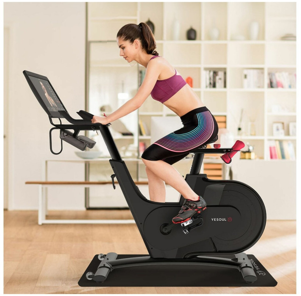 Велотренажер YESOUL BV1-B PLUS (черный)