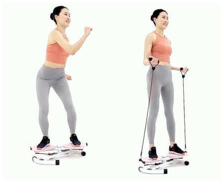 Твистер с эспандерами DFC TW-S108Gr