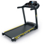 Электрическая беговая дорожка Altezani ALS 1000