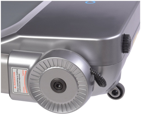 Беговая дорожка электрическая Evo Fitness Delta