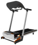 Электрическая беговая дорожка Yowza Modena AR230L